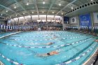 Swimming & Diving vs Babson  Swimming & Diving vs Babson College. - Photo by Keith Nordstrom : Wheaton, Swimming
